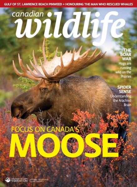 Canadian Wildlife — September-October 2017