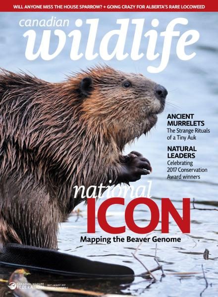 Canadian Wildlife — July-August 2017