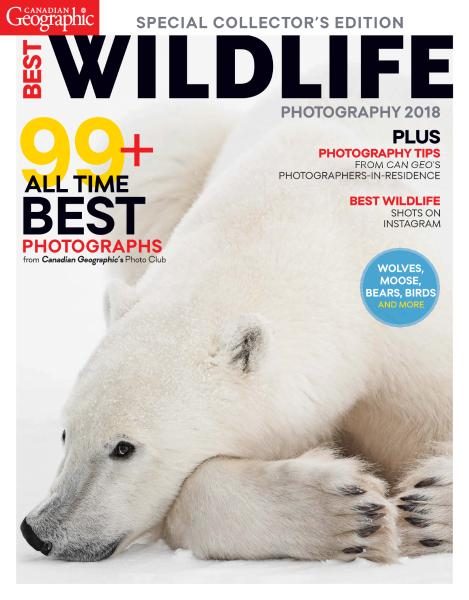 Canadian Geographic — Best Wildlife Photography 2018