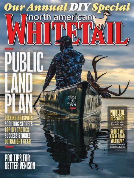 North American Whitetail — Diy Special 2017
