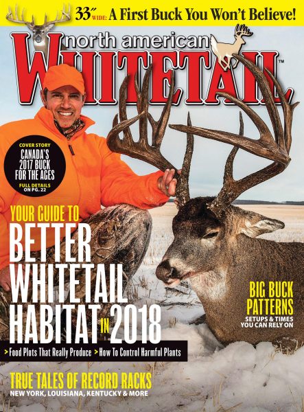 North American Whitetail — January 08, 2018