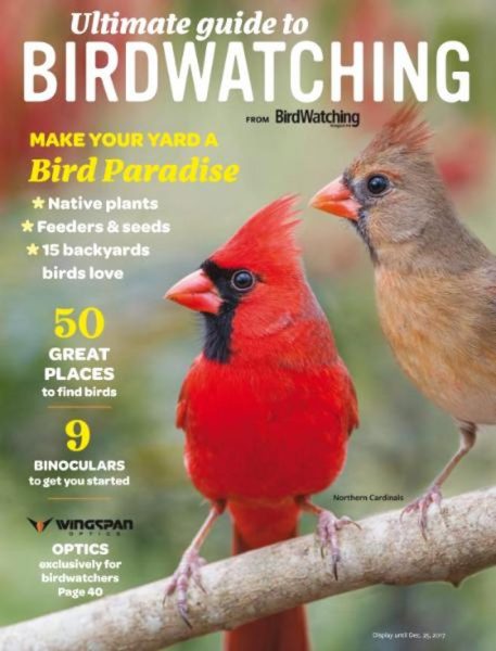 Birdwatching USA — Ultimate Guide To Birdwatching — Fall-Winter 2017