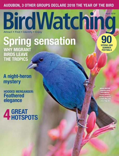 BirdWatching USA — March-April 2018