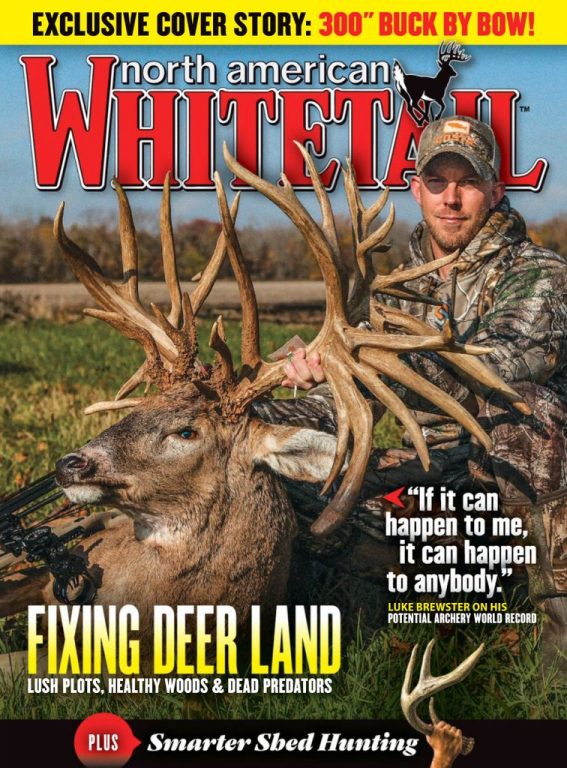 North American Whitetail – February 01, 2019