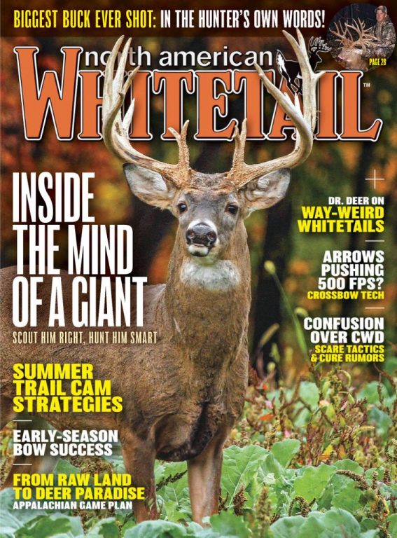 North American Whitetail – June 01, 2019
