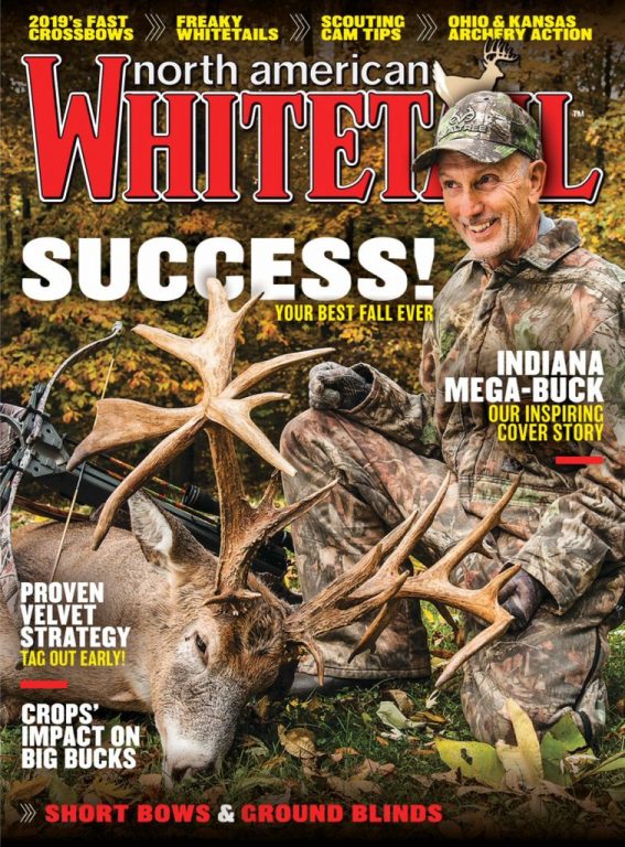 North American Whitetail – July 2019