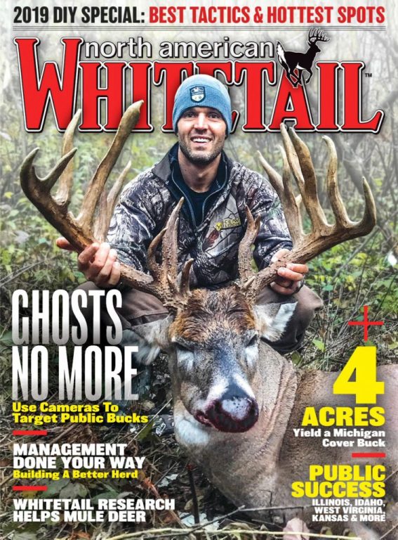 North American Whitetail – August 2019
