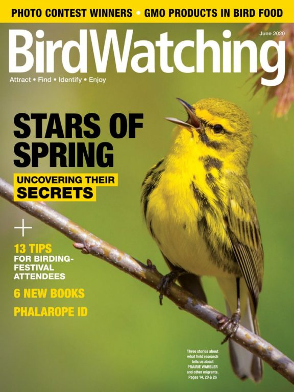BirdWatching USA – May-June 2020