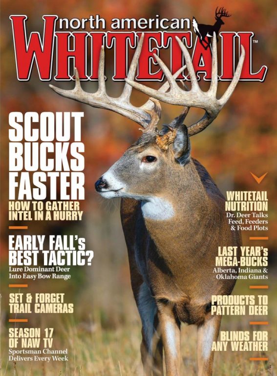 North American Whitetail – July 2020