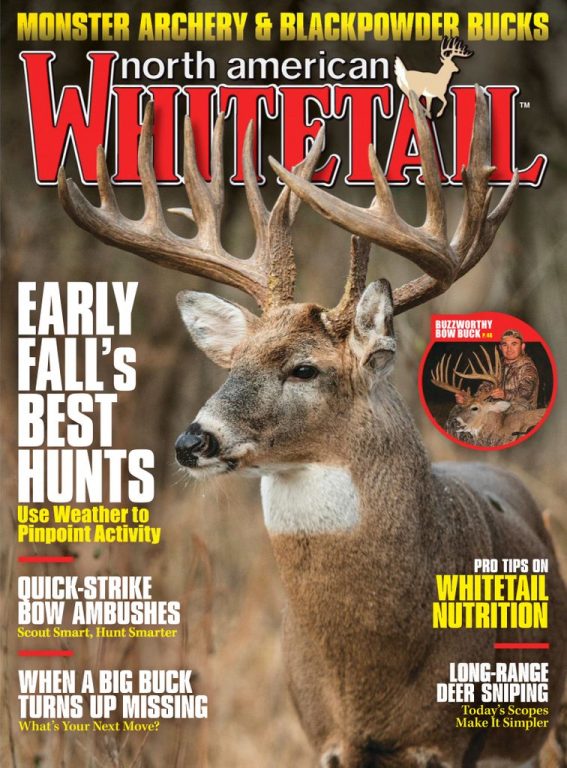 North American Whitetail – September 2020